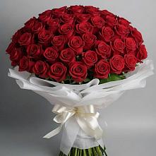 Букет 101 Красная роза Блэк Мэджик #REPLACE_PRED# Усть-Катаве