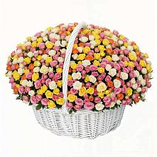 Премиум букет из: Розы в Усть-Катаве