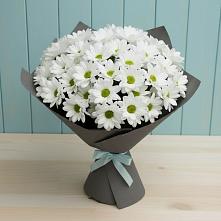 Букет цветов из:  Хризантемы в Усть-Катаве