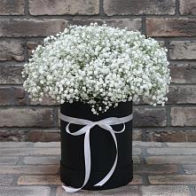 Цветочная композиция из Гипсофила в шляпной коробке в Усть-Катаве