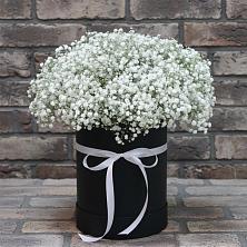 Цветочная композиция из Гипсофила в шляпной коробке в Усть-Катаве