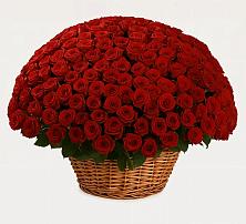 Премиум букет из: Розы в Усть-Катаве